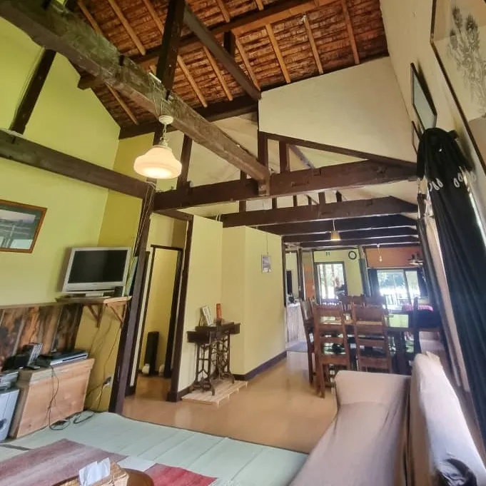 Image of Bears House